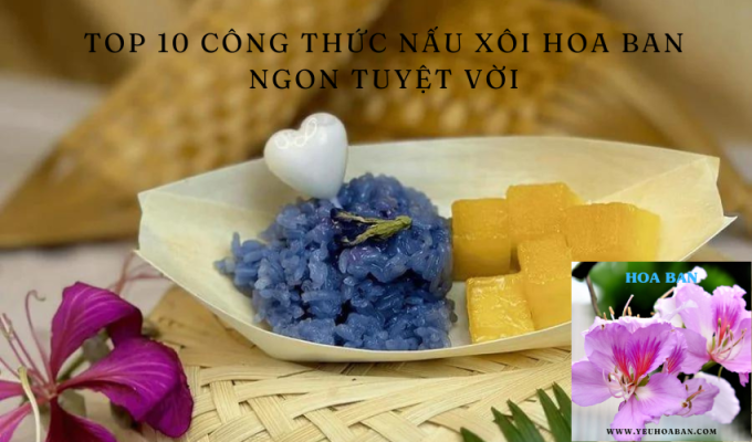 Top 10 công thức nấu xôi hoa ban ngon tuyệt vời