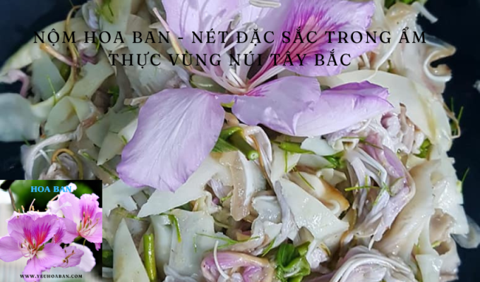 Nộm hoa ban - Nét đặc sắc trong ẩm thực vùng núi Tây Bắc