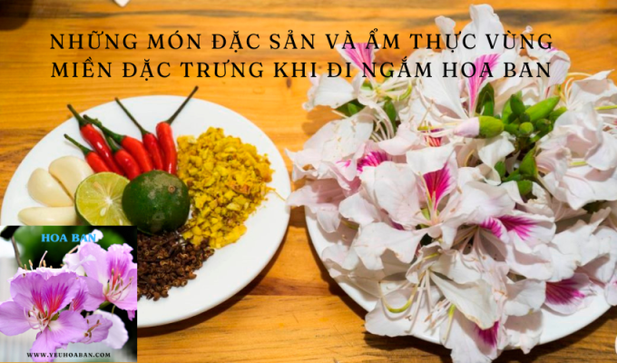 Những món đặc sản và ẩm thực vùng miền đặc trưng khi đi ngắm hoa ban